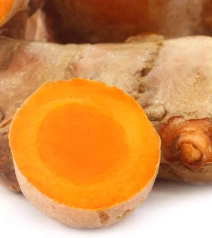 Organic Yellow Turmeric Rooted Bulbs - Live Edible Plant Ready to Grow, Perennial, Full Sun - Image 4