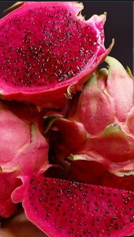 Red Dragon Fruit Pitaya Live Plant Cuttings, 2-Pack, 8"+ Edible Outdoor - Image 2