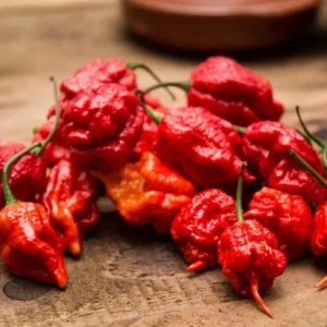 Set of 2 Carolina Reaper Pepper Live Plants – 4