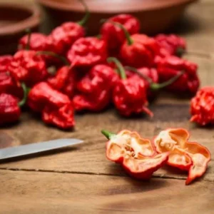 Set of 2 Carolina Reaper Pepper Live Plants – 4