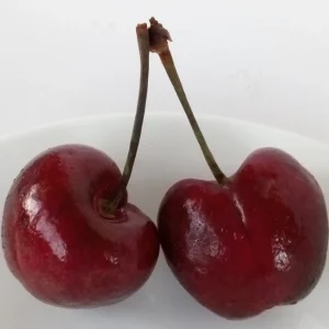 Sweet Organic Red Cherry Fruit Tree Seeds - 15 Seeds - Edible Perennial - Image 1