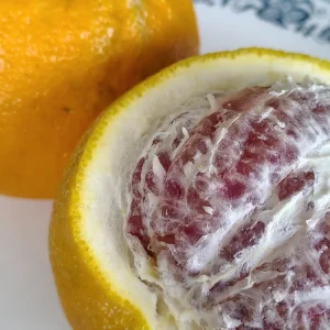 Sweet Organic Valentine Pummelo Citrus Seeds - 5 Seeds - Hybrid Variety - Image 2