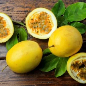 Yellow Passion Fruit Live Plant – Fast-Growing Vine – Tropical Edible Fruit – 3-6 in Starter - Image 2
