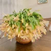 Yellow Thanksgiving Cactus Live Plant – Small – 3 Inch Pot – Indoor - Image 1
