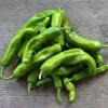 Shishito Pepper Live Plants - 3 Pack, 4-7 inch Seedlings for Spring Garden - Image 1