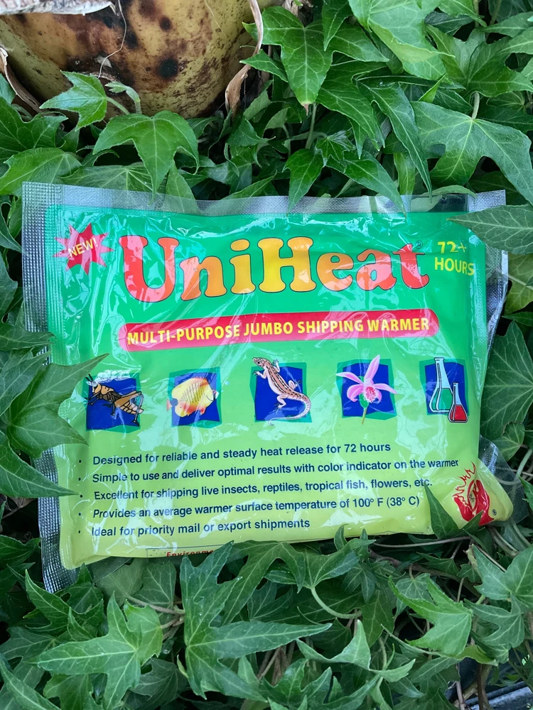 72 Hour Heat Pack - Plant Shipping Warmer for Cold Weather - Image 1