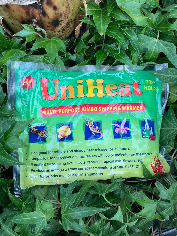 72 Hr Heat Pack for Live Plant Shipping - Cold Weather Protection - Image 1