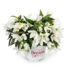 Beauvilia White Begonia Live Plant – 4.5 inch Pot – Indoor/Outdoor - Image 1