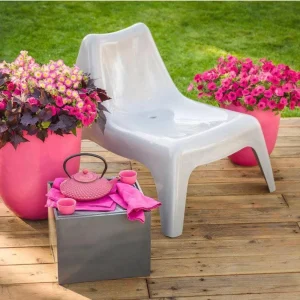 Petunia Vista Fuchsia Live Plant – 4.5