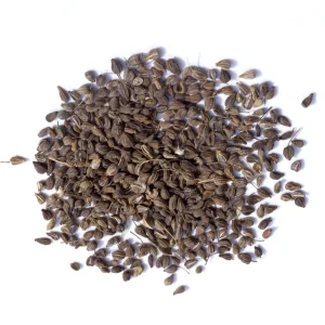 Anise Seeds - Pimpinella anisum - 50 Sweet Aromatic Herb Seeds for Culinary Gardens - Image 3