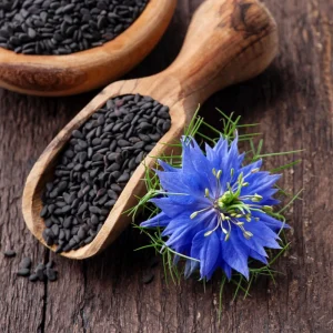Bachelor Button Seeds - Mixed Cornflower Seeds - 20 Count - Easy Grow Annual - Image 3