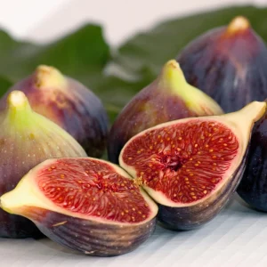 Black Mission Fig Seeds - Ficus Carica - 25 Seeds for Sweet Edible Fruit Tree, Container or Garden Growing - Image 10