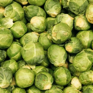 Brussels Sprouts Seeds - 50 Heirloom Vegetable Seeds for Fall & Winter Harvest - Image 10