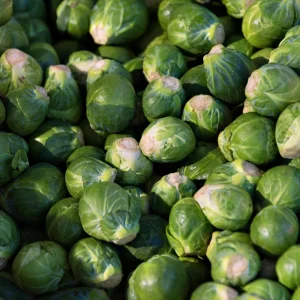 Brussels Sprouts Seeds - 50 Heirloom Vegetable Seeds for Fall & Winter Harvest - Image 2