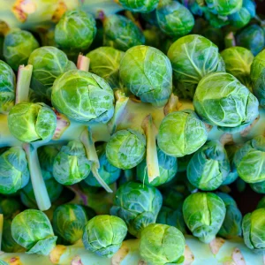 Brussels Sprouts Seeds - 50 Heirloom Vegetable Seeds for Fall & Winter Harvest - Image 3