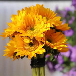 Buttercream Sunflower Seeds - Annuals, Open-Pollinating, Non-GMO - 25 Seeds - Image 12