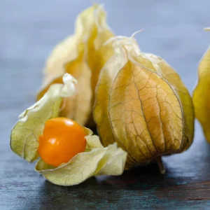 Cape Gooseberry Seeds - Physalis peruviana - Golden Berry Fruit Plant - 20 Seeds - Image 2