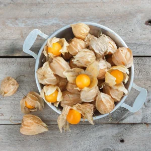 Cape Gooseberry Seeds - Physalis peruviana - Golden Berry Fruit Plant - 20 Seeds - Image 6