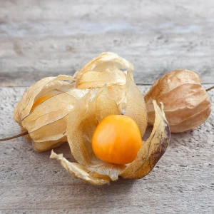 Cape Gooseberry Seeds - Physalis peruviana - Golden Berry Fruit Plant - 20 Seeds - Image 7