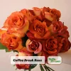 Coffee Break Rose Seeds - Perennial Flower Seeds - 30 Seed Pack - Grow Your Own Roses - Image 1