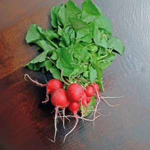 Crimson Giant Radish Seeds - 30 Heirloom Fast Growing Red Radish Seeds - Image 10