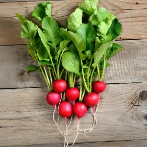 Crimson Giant Radish Seeds - 30 Heirloom Fast Growing Red Radish Seeds - Image 11