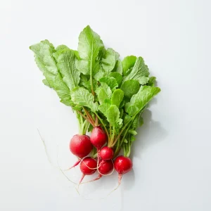Crimson Giant Radish Seeds - 30 Heirloom Fast Growing Red Radish Seeds - Image 6