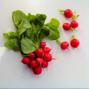 Crimson Giant Radish Seeds - 30 Heirloom Fast Growing Red Radish Seeds - Image 7