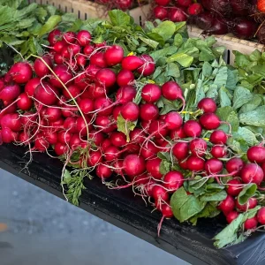 Crimson Giant Radish Seeds - 30 Heirloom Fast Growing Red Radish Seeds - Image 9