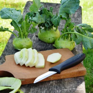 Early White Vienna Kohlrabi Seeds - Heirloom German Turnip Cabbage - Easy to Grow Vegetable - 30 Seeds - Image 6