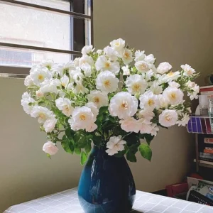 Friendship Of Stranger Rose Seeds - Rare Fragrant Rose Seeds - Cold Resistant - 30+ Seeds - Image 13