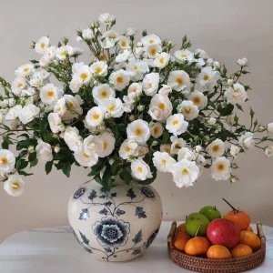 Friendship Of Stranger Rose Seeds - Rare Fragrant Rose Seeds - Cold Resistant - 30+ Seeds - Image 7