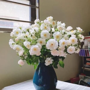 Friendship Of Stranger Rose Seeds - Rare Fragrant Rose Seeds - Cold Resistant - 30+ Seeds - Image 8