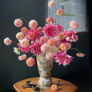 Frost Nip Dahlia Seeds - Heirloom Pollinator Friendly Flower Seeds - 40 Count - Image 12