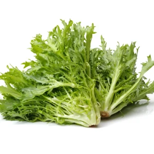 Green Curled Ruffec Endive Seeds - 50 Count - Frilly Leafy Vegetable - Image 14