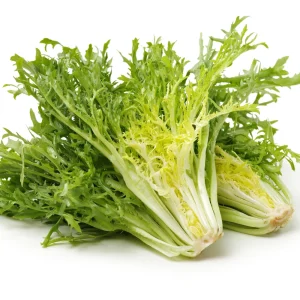 Green Curled Ruffec Endive Seeds - 50 Count - Frilly Leafy Vegetable - Image 8