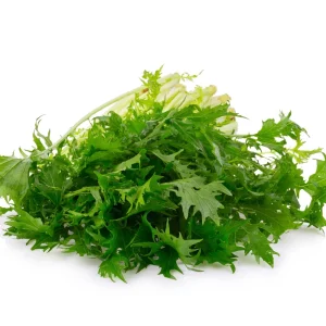 Green Mizuna Mustard Seeds - Japanese Asian Greens - 20 Seed Pack - Image 5