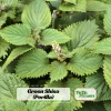 Green Shiso Herb Seeds - Perilla frutescens - Japanese Perilla Leaf - 20 Seed Pack - Image 1
