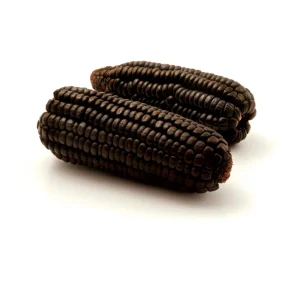 Hopi Blue Corn Seeds – Heirloom Native American Corn – 10 Seeds – High Yield - Image 10