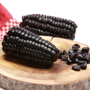 Hopi Blue Corn Seeds – Heirloom Native American Corn – 10 Seeds – High Yield - Image 2