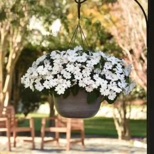 Impatiens Seeds – Solarscape Mix Annual Flower Seeds – 20 Seeds – Sun & Shade - Image 10