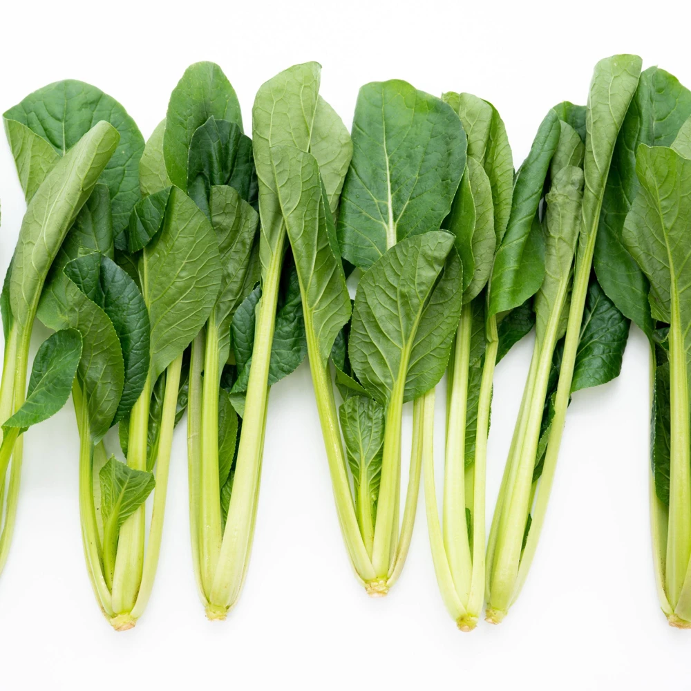 Japanese Komatsuna Seeds - Brassica rapa var. perviridis - Mustard Spinach Seeds - 5 Seeds Pack - Image 2