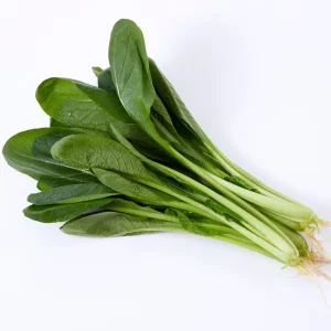 Japanese Komatsuna Seeds - Brassica rapa var. perviridis - Mustard Spinach Seeds - 5 Seeds Pack - Image 3
