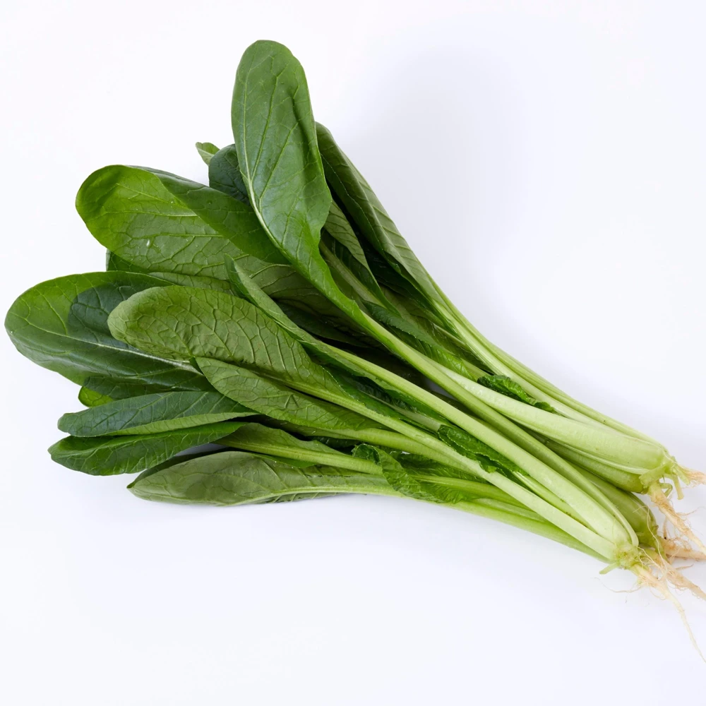 Japanese Komatsuna Seeds - Brassica rapa var. perviridis - Mustard Spinach Seeds - 5 Seeds Pack - Image 3