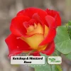 Ketchup & Mustard Rose Seeds - Perennial Flower Seeds - 30 Count Pack - Image 1