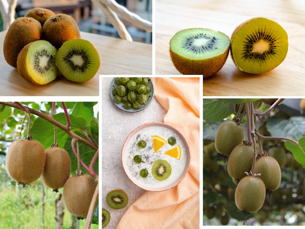 Kiwi Fruit Seeds - Chinese Gooseberry - Grow Your Own Delicious Kiwis - 20 Seeds - Image 2
