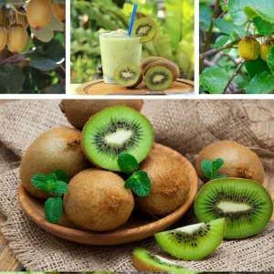 Kiwi Fruit Seeds - Chinese Gooseberry - Grow Your Own Delicious Kiwis - 20 Seeds - Image 8