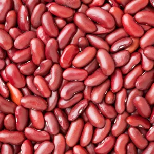 Light Red Kidney Beans Seeds - Heirloom Legume - 15 Seeds - Easy Grow - Image 11