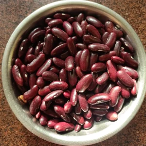 Light Red Kidney Beans Seeds - Heirloom Legume - 15 Seeds - Easy Grow - Image 4
