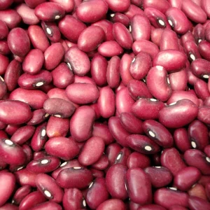 Light Red Kidney Beans Seeds - Heirloom Legume - 15 Seeds - Easy Grow - Image 6
